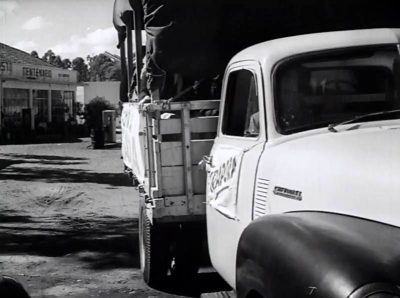 VIGILANTE RODOVIÁRIO